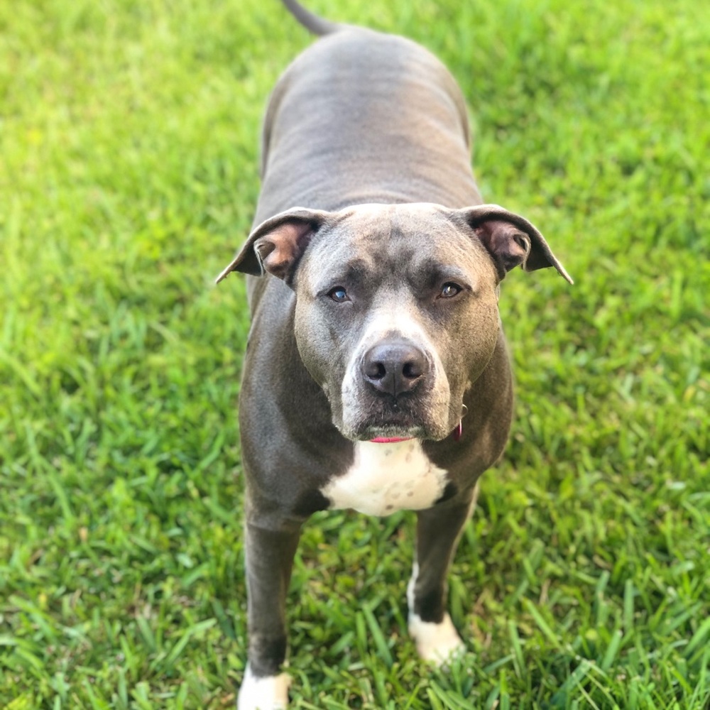 Meet your Posher, Posh